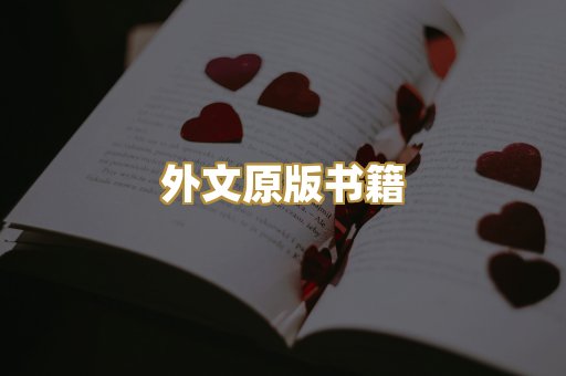 外文原版书籍